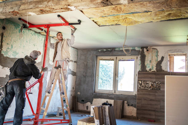 Best Insulation Maintenance and Repair in Centralia, IL
