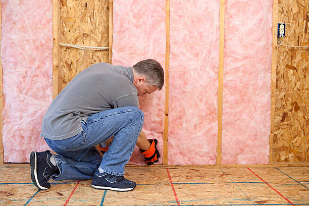 Best Energy Efficiency Solutions in Centralia, IL